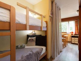Studio 4 pers à Saint Lary avec Wifi gratuit, balcon sud, jacuzzi, salle de gym, sauna et parking - FR-1-296-470 - Vignec - 0
