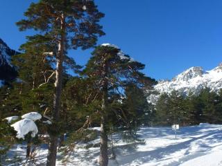 Charmant T2 pour 2 pers, balcon, Cauterets - FR-1-234-306 - 9