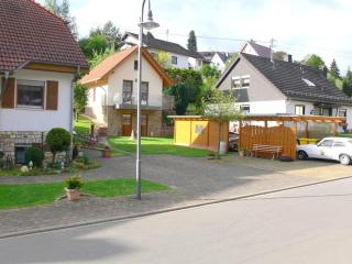 Apartments Monika Schneider - Wimbach - 9