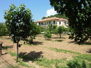 Agriturismo Le Collinette - Villanova dʼAlbenga - 3