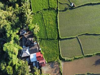 Jonny's Places - Tetebatu - 6