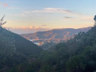 Villa Monte Rosa al Golfo by PortofinoVacanze - Rapallo - 7