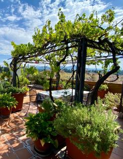 Il giardino sospeso di Anna - Florence - 8