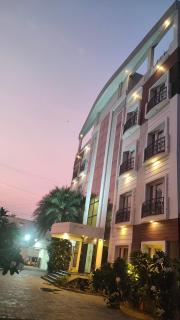 Pine Tree - Kanchipuram - 9