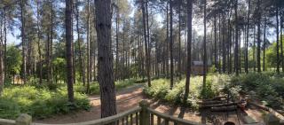 King Nutkin Shepherds Hut - Grimston - 6