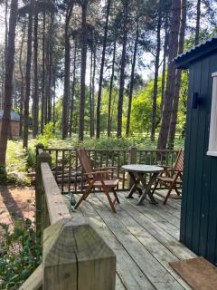 King Nutkin Shepherds Hut - Grimston - 5