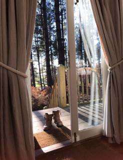 King Nutkin Shepherds Hut - Grimston - 2