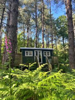 King Nutkin Shepherds Hut - Grimston - 0