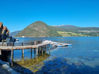 Nedre Amla Fjord Apartment - Kaupanger - 3