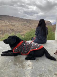 Pema's Cottage Chicham Kaza - 8