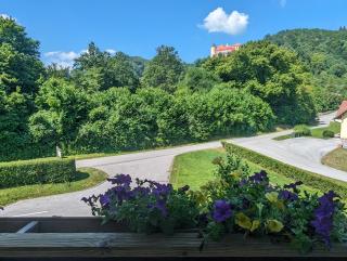 Apartments Domačija Mlaker - Podčetrtek - 7