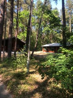 Leśnik Bungalow Stegna - domki letniskowe nad morzem - Stegna - 7