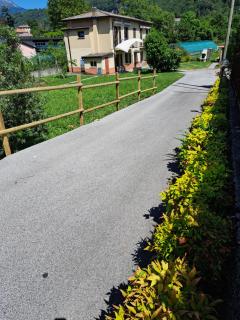 Green & Blue House - 0