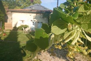 Entire apartment with swimming pool near Aubeterre - Saint-Romain - 4