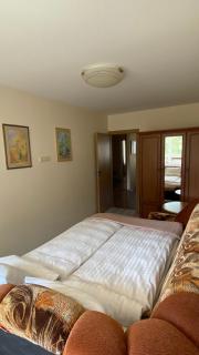 Apartamentai Vytauto 16 - Druskininkai - 6
