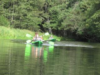 Ośrodek Wypoczynkowy Jaszczurka - 8