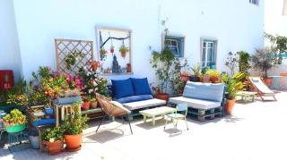 Ethic Surf House - Ferrel - 9