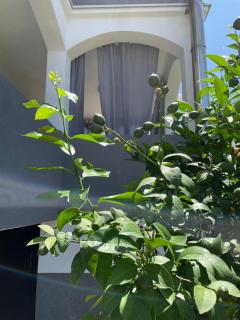 Mare - Zadar - 9