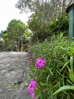 B&B Il Borgo - Matrice - 2