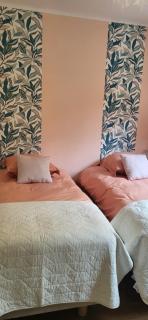 La Plante, tendance et design - Ornans - 6