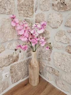 APARTMAN ELI - Supetar (San Pietro di Brazza) - 5