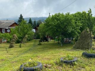 Sadiba Rozchil - Yablunytsya - 3