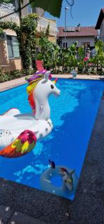 APARTMAN MURKO P-3 - - 4
