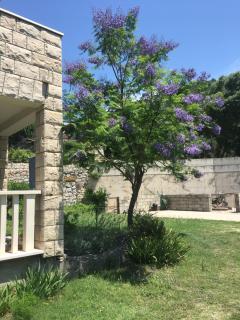 Apartmani Domenika - Žuljana - 8