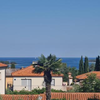 Apartments Ada - Rovinj - 1