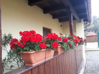 Casa Ciobanca - Vadu Crişului - 7