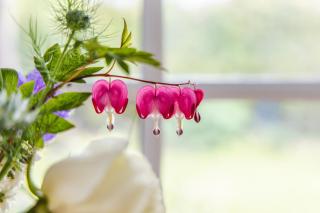 Cozy Garden Studio - Williton - 9