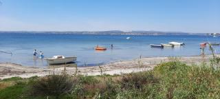 Paulette la Galinette et Laurent le Goéland - Sète - 1