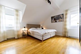 Flexible SelfCheckIns 49 - Zagreb - Parking - New - Luxury - Zagabria - 7