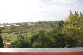 l'avocatier - Kenitra - 4