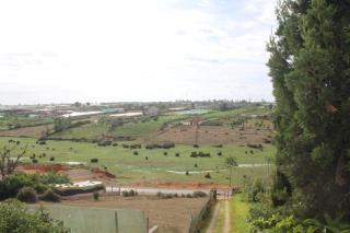 l'avocatier - Kenitra - 5