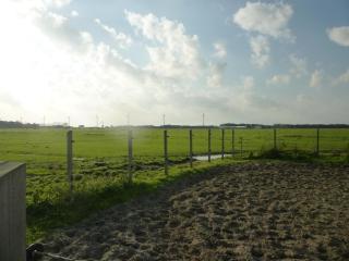 Vredehof - Sint Maartensbrug - 1