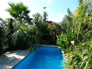 Villa Tropica - Secluded Private Pool, Jungle Garden, Soulful Escape near Split & Trogir - 9
