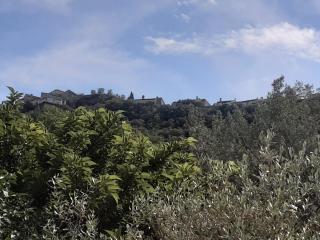 Le chemin de Bruniele - 1