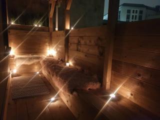 The Art House 2 Galway, Woodquay - 3