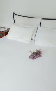 FBM Anagenessis - Ευ Ζην - 6