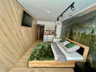 Ustroń Jaszowiec Apartament Basia - Ustroń - 2