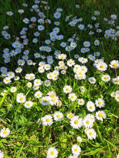 Pond Beach 2ppl-private Hot tub - 1