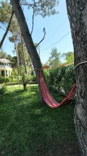 Cozy PineTrees Beach House - Golem - 6