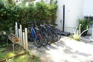 DomusAuroom, RELAX nel cuore della Versilia - Pet Friendly - Viareggio - 6