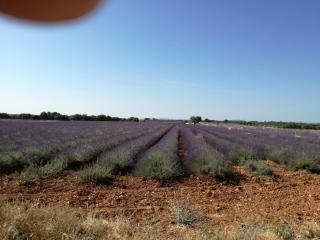 Les Bastides - 6