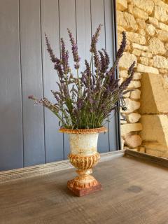 Le Bos Dordogne - 7