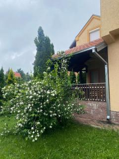 Pino Munika apartman - Zlatibor - 8