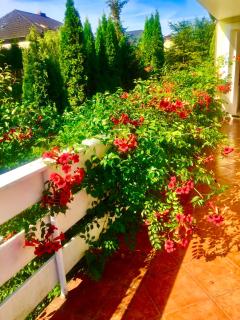 Słoneczny Zakątek - 5