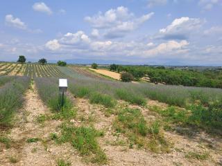 Le provençal - Manosque - 3