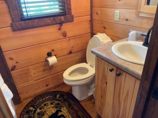 Cabin on Gold Mine Hill - Hendersonville - 4